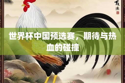 世界杯中国预选赛，期待与热血的碰撞