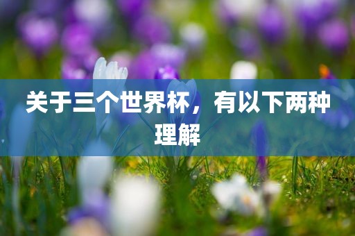 关于三个世界杯，有以下两种理解
