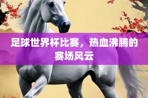 足球世界杯比赛，热血沸腾的赛场风云眉山市正发家政服务有限公司