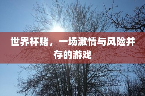 世界杯赌，一场激情与风险并存的游戏