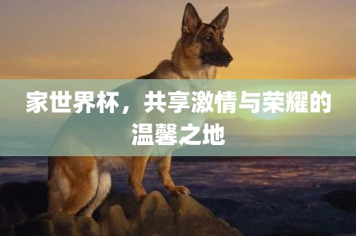 家世界杯，共享激情与荣耀的温馨之地眉山市正发家政服务有限公司