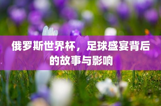 俄罗斯世界杯，足球盛宴背后的故事与影响