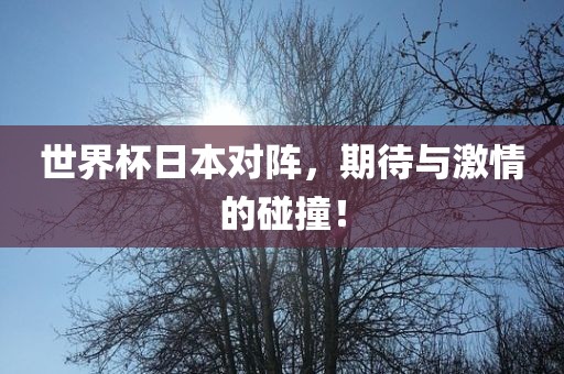 世界杯日本对阵，期待与激情的碰撞！