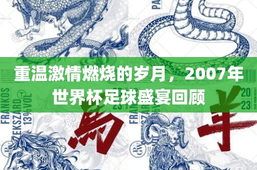 重温激情燃烧的岁月，2007年世界杯足球盛宴回顾