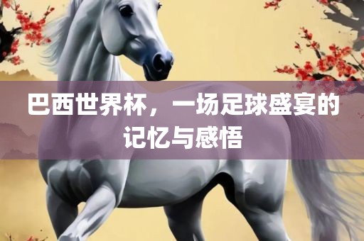巴西世界杯，一场足球盛宴的记忆与感悟眉山市正发家政服务有限公司