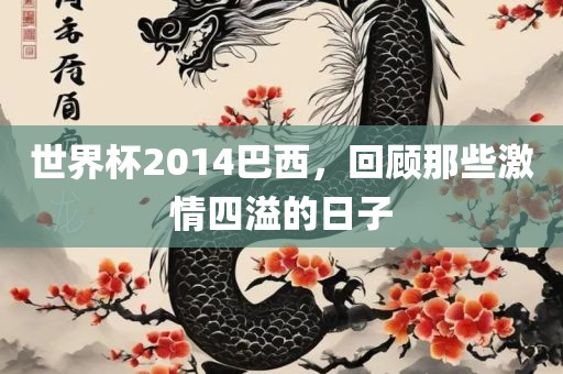 世界杯2014巴西，回顾那些激情四溢的日子眉山市正发家政服务有限公司