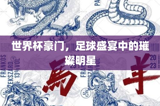 世界杯豪门，足球盛宴中的璀璨明星