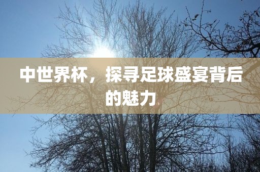 中世界杯，探寻足球盛宴背后的魅力