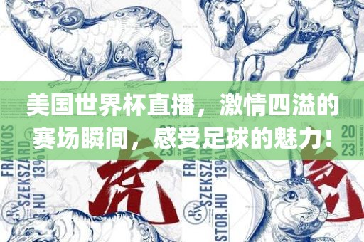 美国世界杯直播，激情四溢的赛场瞬间，感受足球的魅力！