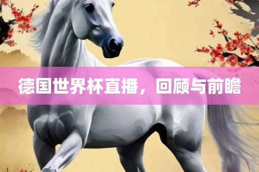 德国世界杯直播，回顾与前瞻