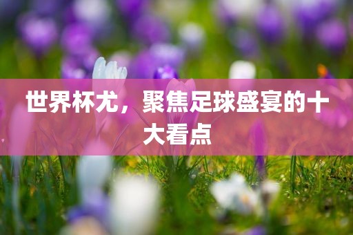世界杯尤，聚焦足球盛宴的十大看点