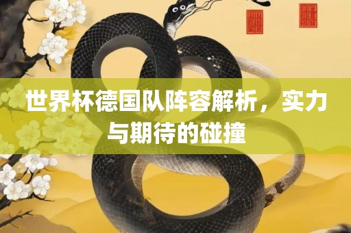 世界杯德国队阵容解析，实力与期待的碰撞