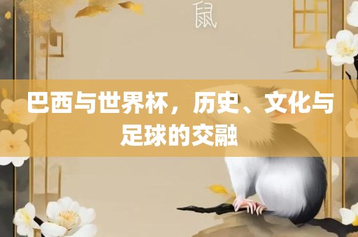 巴西与世界杯，历史、文化与足球的交融眉山市正发家政服务有限公司