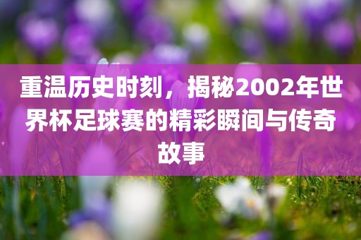 重温历史时刻，揭秘2002年世界杯足球赛的精彩瞬间与传奇故事