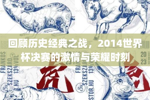 回顾历史经典之战，2014世界杯决赛的激情与荣耀时刻眉山市正发家政服务有限公司