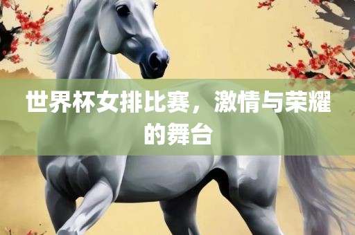 世界杯女排比赛，激情与荣耀的舞台眉山市正发家政服务有限公司