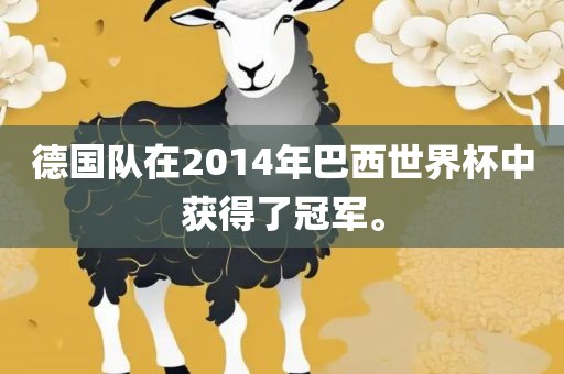 德国队在2014年巴西世界杯中获得了冠军。