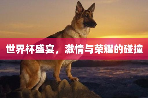 世界杯盛宴，激情与荣耀的碰撞