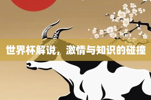 世界杯解说，激情与知识的碰撞