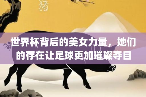 世界杯背后的美女力量，她们的存在让足球更加璀璨夺目