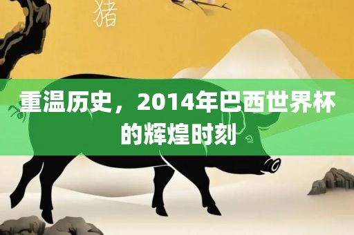 重温历史，2014年巴西世界杯的辉煌时刻