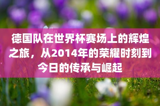 德国队在世界杯赛场上的辉煌之旅，从2014年的荣耀时刻到今日的传承与崛起