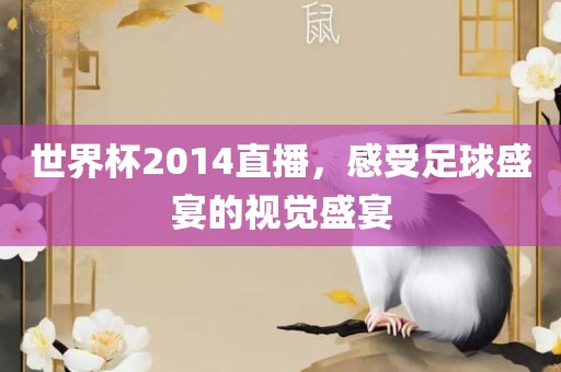 世界杯2014直播，感受足球盛宴的视觉盛宴