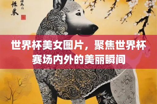 世界杯美女图片，聚焦世界杯赛场内外的美丽瞬间