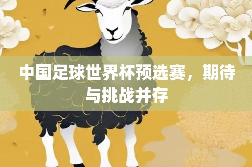 中国足球世界杯预选赛，期待与挑战并存