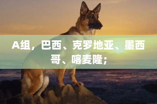 A组，巴西、克罗地亚、墨西哥、喀麦隆；