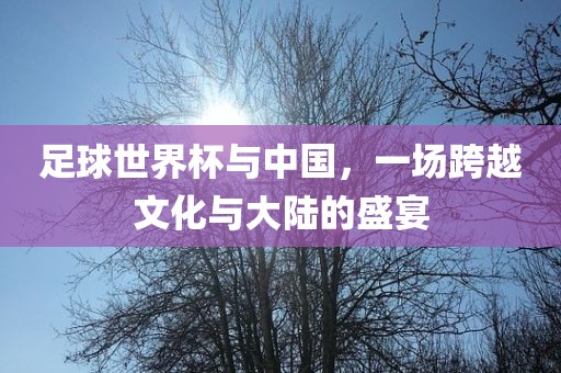 足球世界杯与中国，一场跨越文化与大陆的盛宴