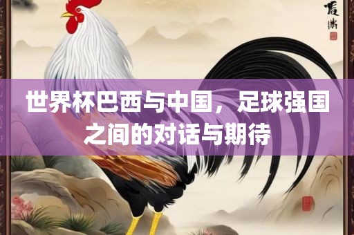 世界杯巴西与中国，足球强国之间的对话与期待
