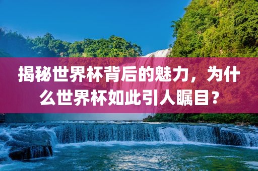 揭秘世界杯背后的魅力，为什么世界杯如此引人瞩目？眉山市正发家政服务有限公司