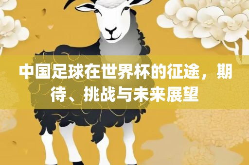 中国足球在世界杯的征途，期待、挑战与未来展望