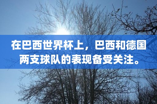 在巴西世界杯上，巴西和德国两支球队的表现备受关注。