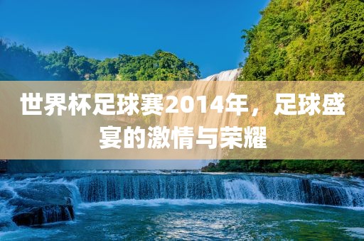 世界杯足球赛2014年，足球盛宴的激情与荣耀