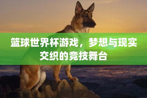篮球世界杯游戏，梦想与现眉山市正发家政服务有限公司实交织的竞技舞台