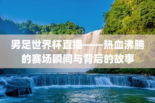 男足世界杯直播——热血沸腾的赛场瞬间与背后的故事眉山市正发家政服务有限公司