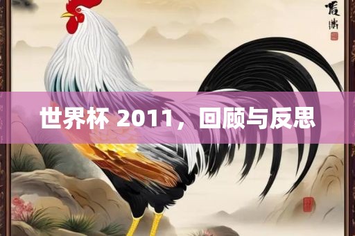 世界杯 2011，回顾与反思