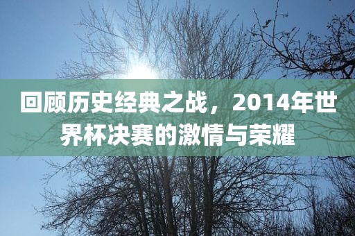 回顾历史经典之战，2014年世界杯决赛的激情与荣耀