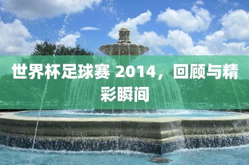 世界杯足球赛 2014，回顾与精彩瞬间