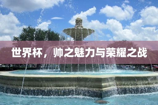 世界杯，帅之魅力与荣耀之战
