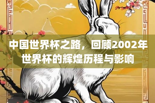 中国世界杯之路，回顾2002年世界杯的辉煌历程与影响