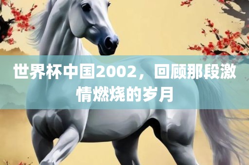 世界杯中国2002，回顾那段激情燃烧的岁月