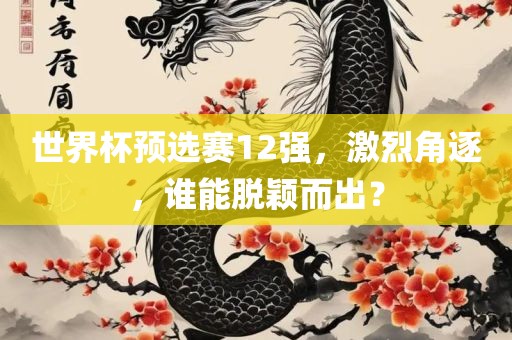 世界杯预选赛12强，激烈角逐，谁能脱颖而出？