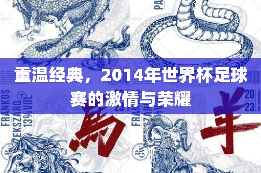 重温经典，2014年世界杯足球赛的激情与荣耀