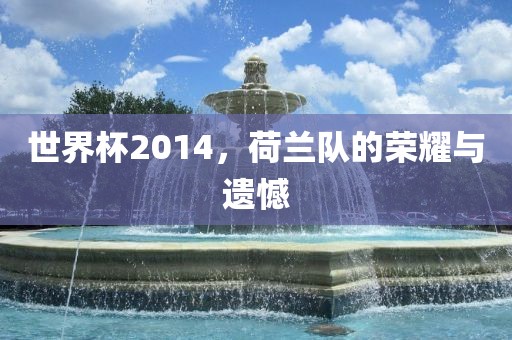 世界杯2014，荷兰队的荣耀与遗憾