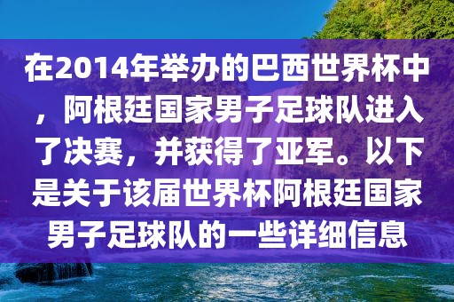 在2014年举办的巴西世界杯中，阿根廷国家男子足球队进入了决赛，并获得了亚军。以下是关于该届世界杯阿根廷国家男子足球队的一些详细信息