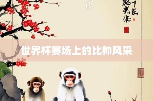 世界杯赛场上的比帅风采
