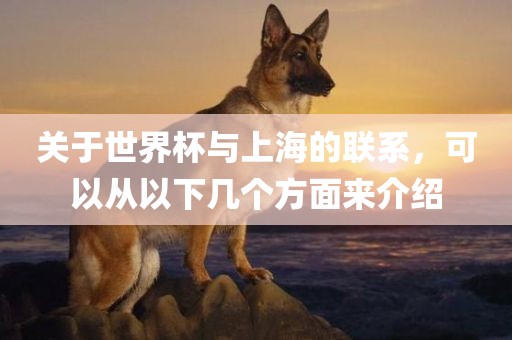 关于世界杯与上海的联系，可以从以下几个方面来介绍